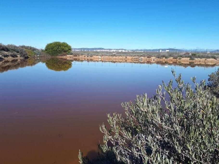 Ferienhaus Ria Formosa Pineview *